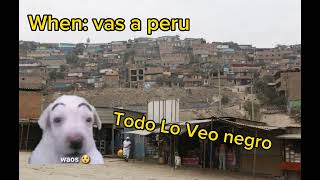 When: vas a Perú 🙉