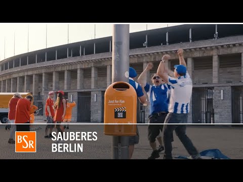 Sauberkeitsfilm BSR - Fan