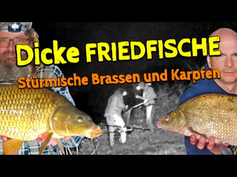 Stürmische BRASSEN und KARPFEN im Oktober - Wird es diesmal klappen?