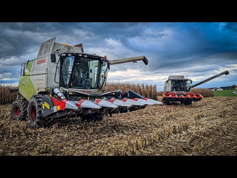 Mais dreschen mit 2x CLAAS Tucano | Ernte 2022 neigt sich dem Ende! | [VLOG]