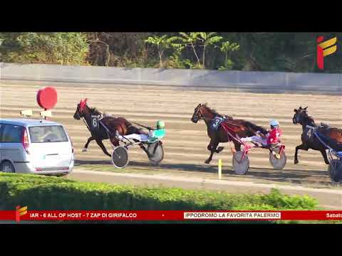 VI Corsa del 30 Settembre 2023 - 5 Anni ed oltre - Metri 2000-2020