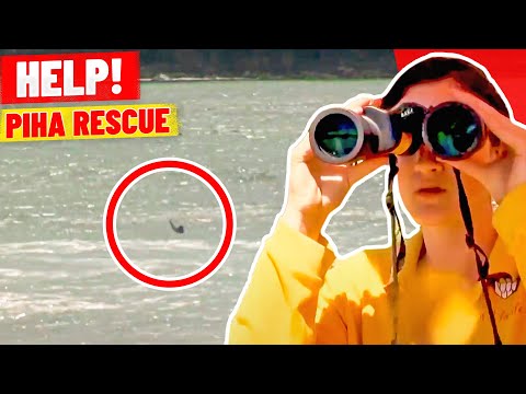 Help Needed! Rescuer in Trouble!