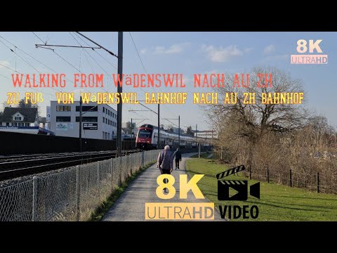 Bahnhof Wädenswil  nach Au ZH Bahnhof  8k video