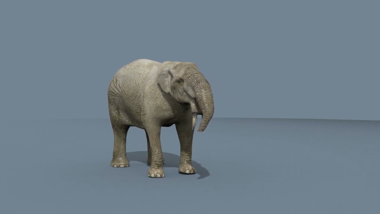 Deinotherium Thraceiensis HD - animazione 3D Modello 3D