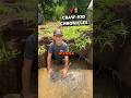 CRAW-KID CATCHES FISH BY HAND 🦞👋#fishing #crawfish #louisiana #crawfishboil #farmlife