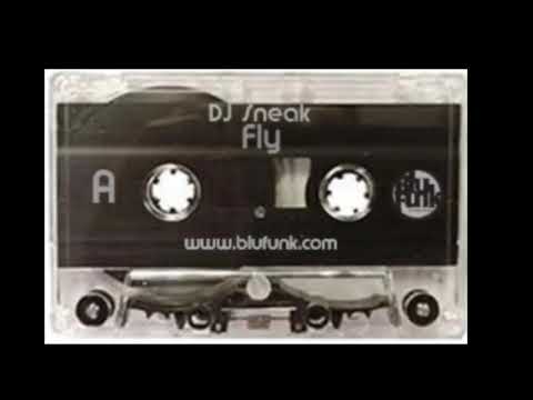 Dj Sneak - Fly