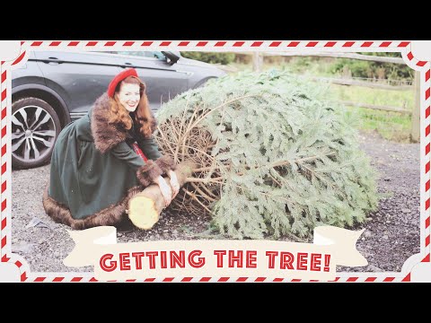 Getting the Christmas Tree! // Vlogmas 2019 Day 8