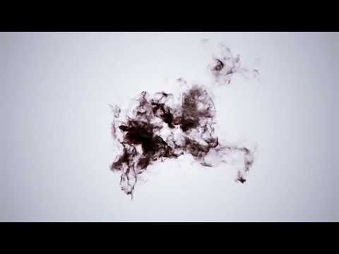 UMN_TV 3L_(21/22) Udruga studenata BiK - G Točka (Sažetak)