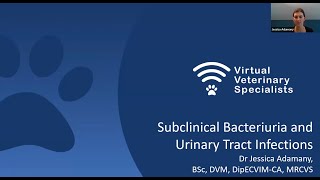 VVS Internal Medicine Webinar: Subclinical Bacteriuria and Urinary Tract Infections