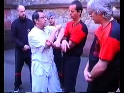 Wing Tsun Archives GM Leung Ting Tutorial Chi Sao 10