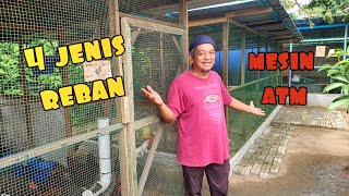 Download lagu ✅️ TERNAK AYAM PEMBAKA. 4 JENIS REBAN DIPERLUKAN mp3