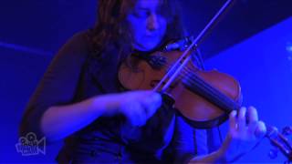 The Crooked Fiddle Band - Clockwork Bride (Live in Sydney) | Moshcam