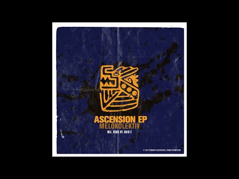 TENA024: 02 Melokolektiv - Ascension (David K Remix)