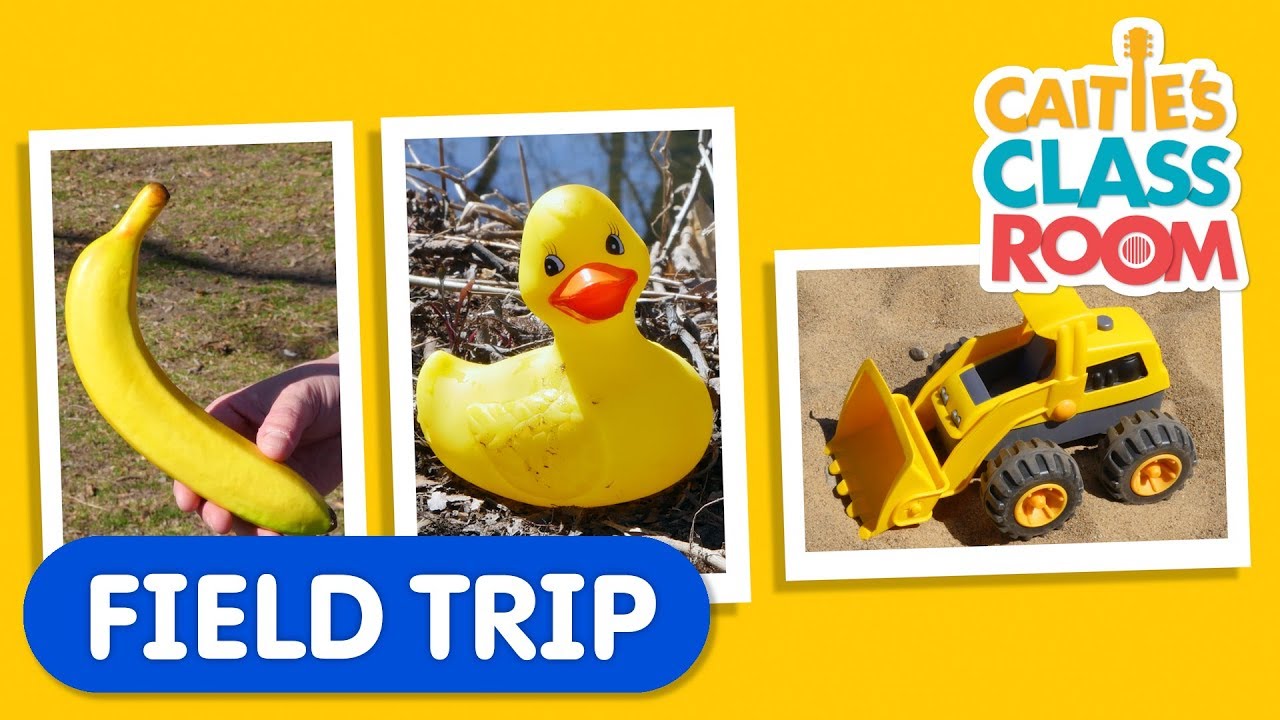 Go On A Color Hunt With Caitie! | Caitie's Classroom Field Trip | Learning Colors Video for Kids