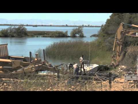 Liberty Island Restoration Project