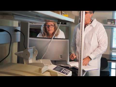 Recognition for UH experts in Selenium