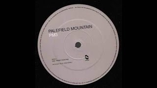 Palefield Mountain - PM3 (Spectral Mix) (Acid Trance 1997)