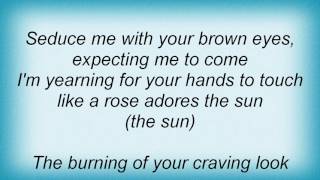 Amber - Object Of Your Desire Lyrics