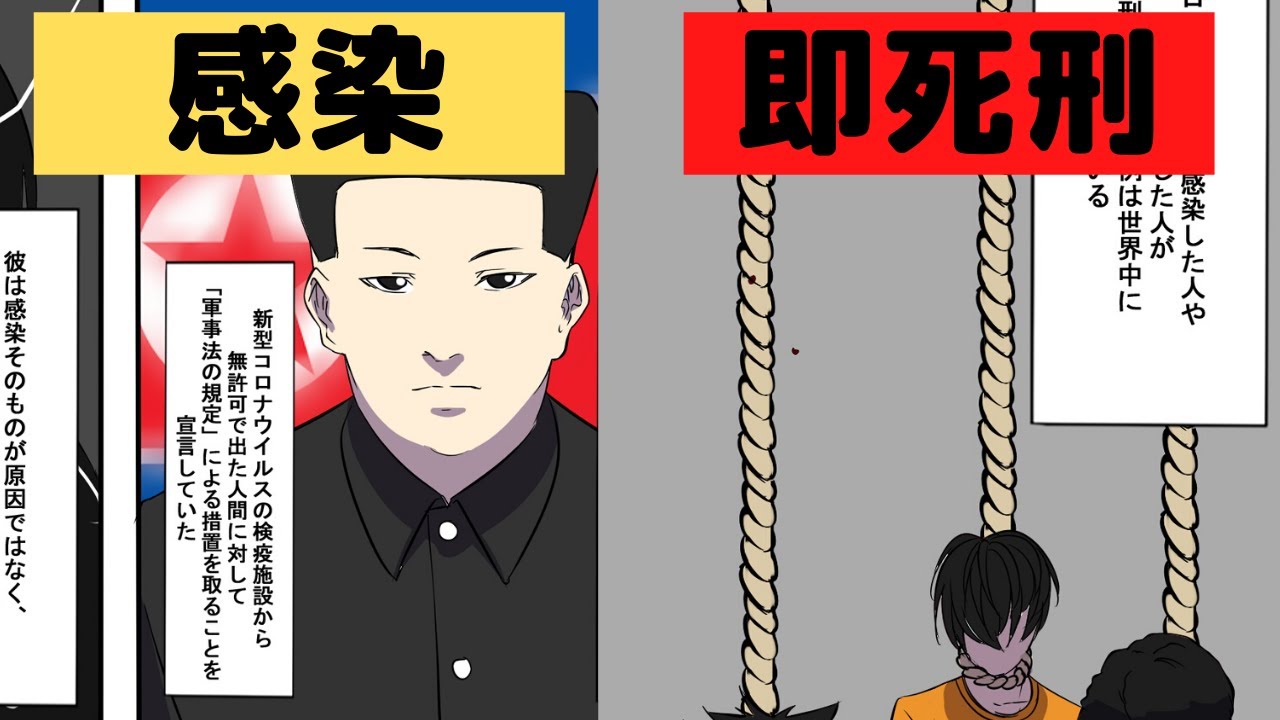 【裏事情】北朝鮮でコロナに感染したら死刑？衝撃の事案5選【マンガ動画】