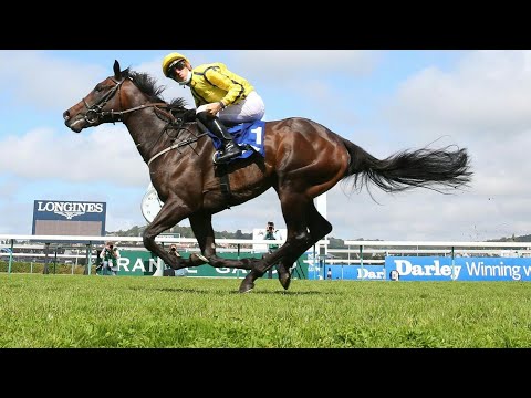 😍 Revivez les Darley Prix Morny et Jean Romanet à l'hippodrome de Deauville
