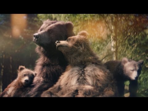 Center Parcs - Bears