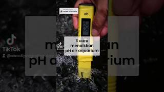 Download lagu 3 Ways to Increase the pH of Your Aquarium Water! mp3