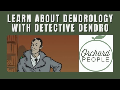 Learn Dendrology with ISA's Detective Dendro 🌳  👁️  🌴 #dendrology #arboriculture #daveytree