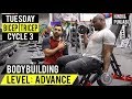 Bicep / Tricep Workout For MASSIVE ARMS! (Hindi / Punjabi)