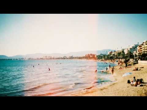 Seven Doors   - Mesoplodon (carioca)