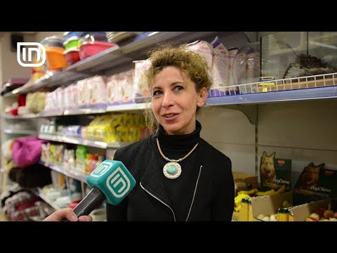 Animalandia në Life is Better with Friends 31/01/2018 | IN TV Albania