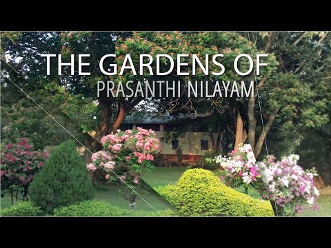The Gardens of Prasanthi Nilayam