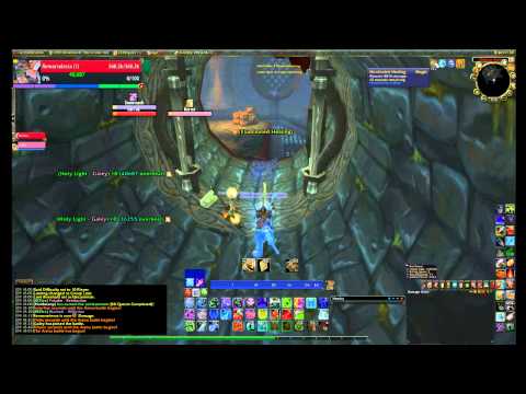 T2 DK 2v2 - FDK+Hpala VS Ret Pala+ Aff Lock