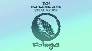 Zo! feat. Tamisha Waden – Steal My Joy (Opolopo Instrumental Remix)