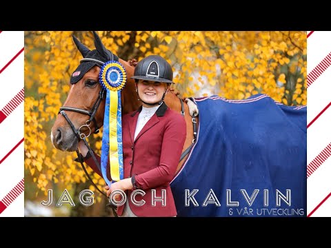 FRÅN LD TILL MSVA PÅ 11 MÅNADER