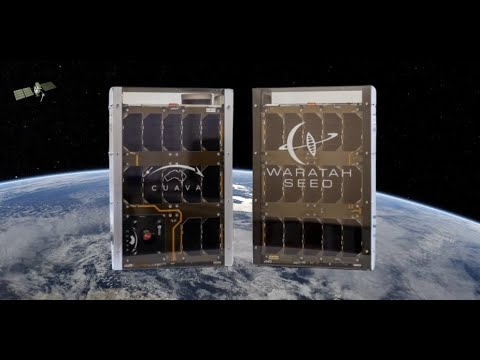 Waratah Seed 1 Mission