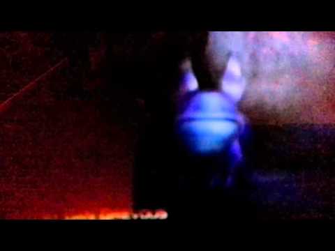 What does commander fox say!