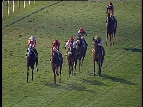 Galoppo 15/12/2019 - 5ª corsa