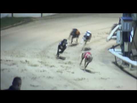 2015 GOLDEN SPRINT FINAL - T1 YOU NEVER LISTEN