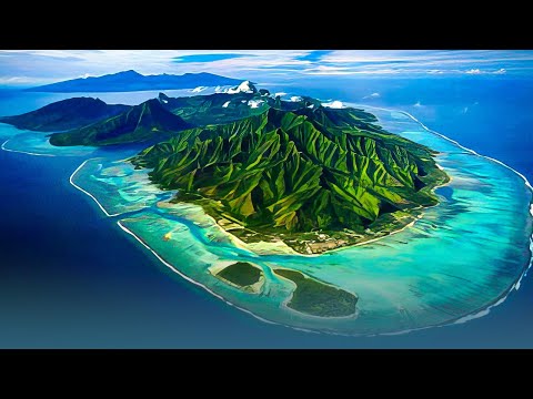 Mo'orea, perle de la Polynésie : nature, légendes et savoirs – Documentaire Voyage - GD