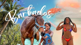 Barbados Travel Vlog: Sunsets, Sea Turtles & Swimming w/ Horses | Lydia Dinga