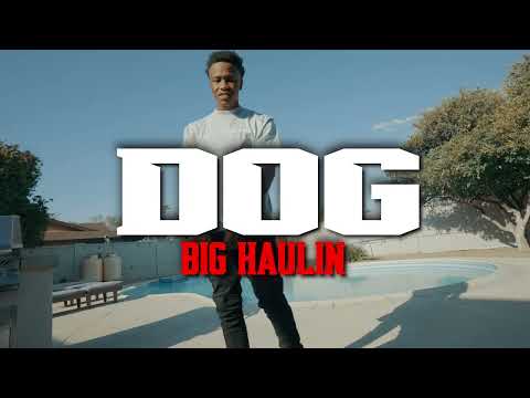 Big Haulin - Dogg (Official Music Video) 🎥:@richornothinfilms
