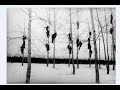 stephan micus- to the evening child