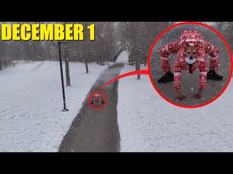 If you see this creature on December 1st, stay inside and lock your doors!! (it’s not safe) 