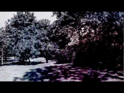 Herce "TAK JEST" [prod: Przybysz] HD