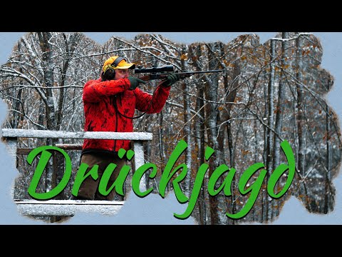 Teppe and Schwenen and the philistine