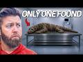 5 Animals That Have Only Been Seen Once DEFAULT Thumbnail
