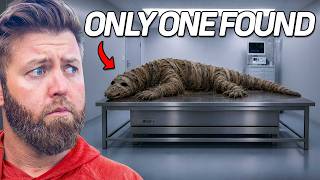 5 Animals That Have Only Been Seen Once MQDEFAULT Thumbnail