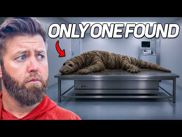 5 Animals That Have Only Been Seen Once SDDEFAULT Thumbnail
