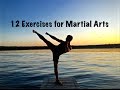 12 Exercises For Martial Arts