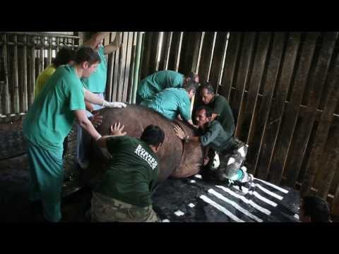 INNOVATIVE FORSCHUNG FÜR DEN ARTENSCHUTZ BMBF & IZW